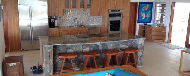 Contemporary kitchen with island and furniture